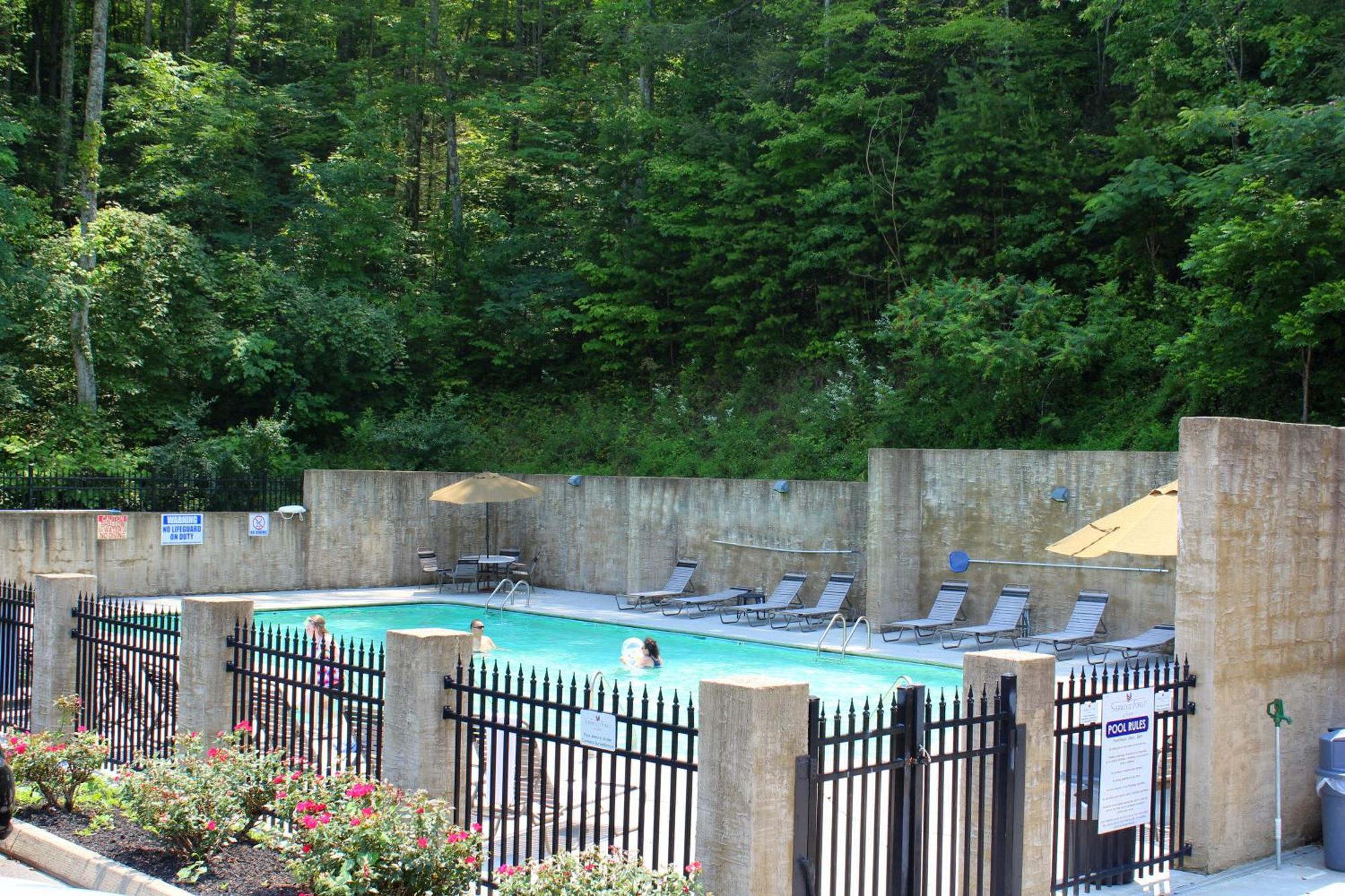 A Higher Calling, 1089 Of Free Area Attraction Tickets For Each Paid Day, Dollywood And More! Pigeon Forge Extérieur photo